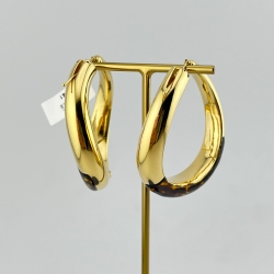 گوشواره پلنگی